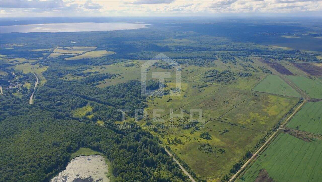 земля р-н Лужский д Залустежье ул Дальняя фото 2