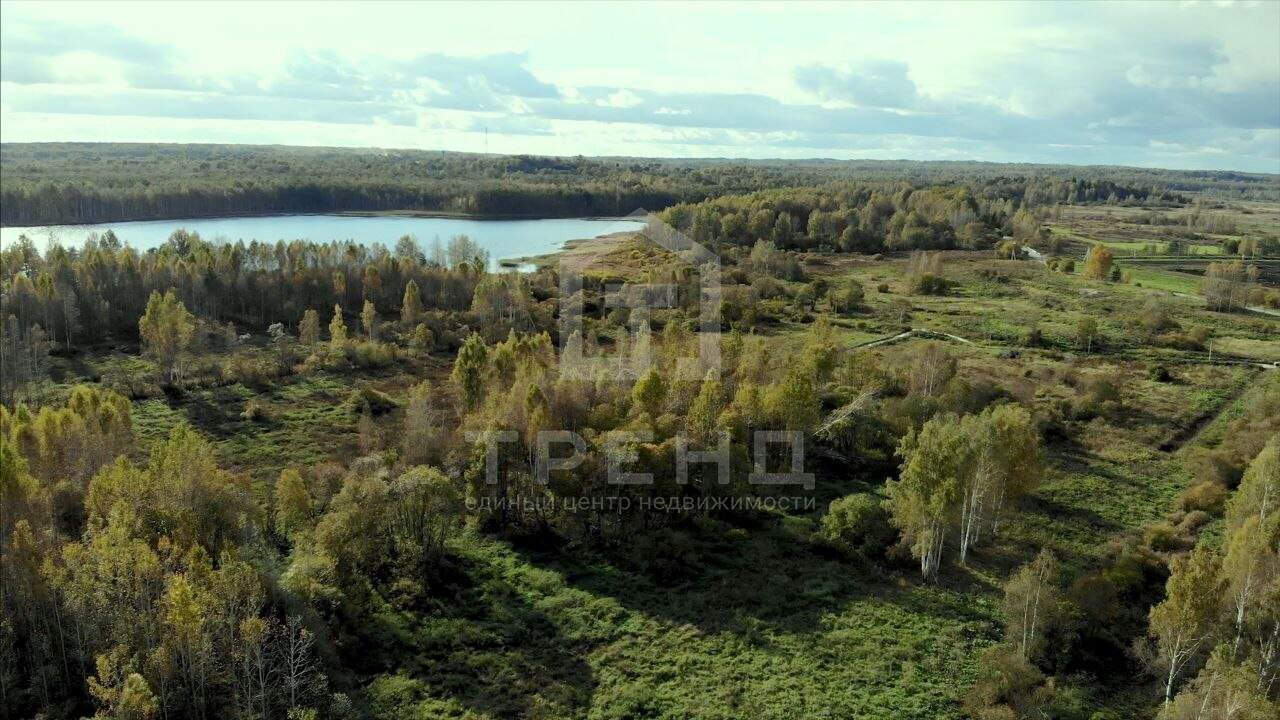 земля р-н Лужский д Залустежье ул Дальняя фото 3