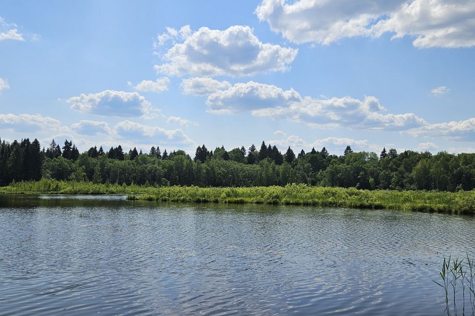 дом городской округ Дмитровский коттеджный посёлок Аква Форест, 13 фото 9