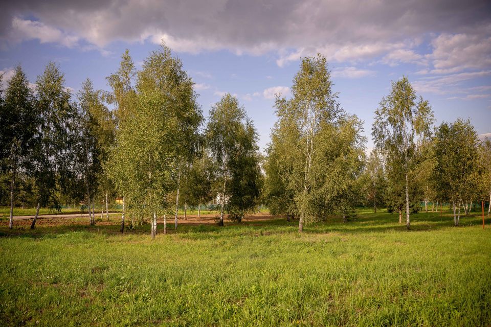 земля городской округ Чехов коттеджный посёлок Берёзовка-парк фото 5