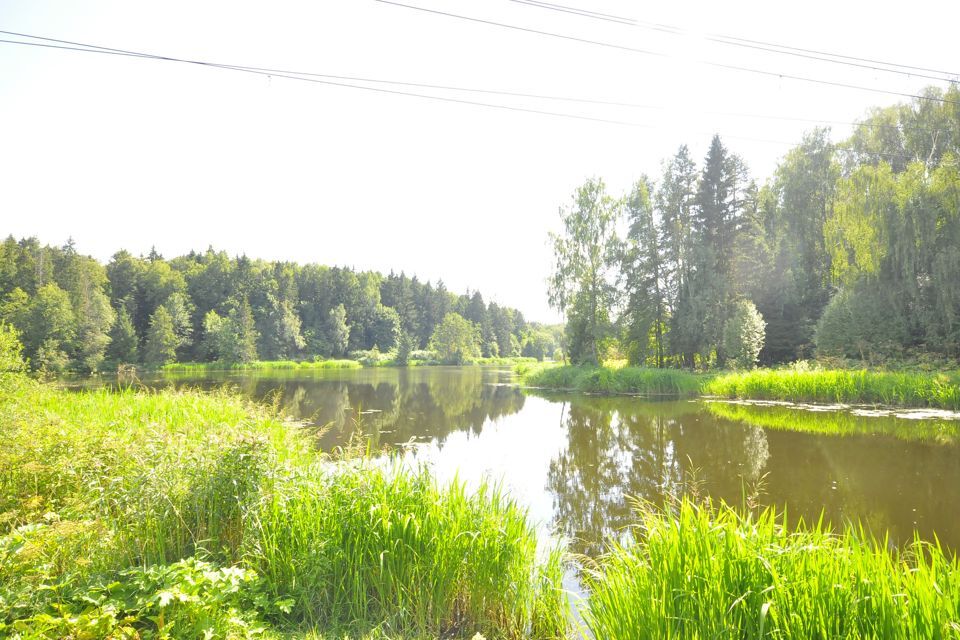 земля городской округ Пушкинский ДПК Китежградъ фото 9