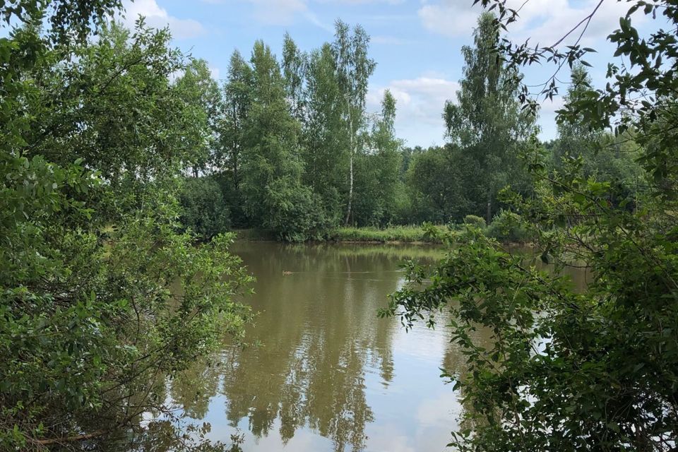 земля городской округ Серпухов д. Воздвиженка фото 6