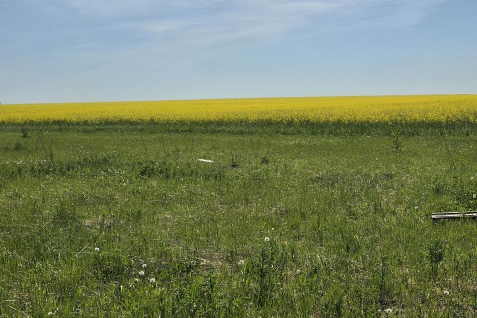 земля городской округ Воскресенск коттеджный посёлок Городище, территория Городище-1 фото 5