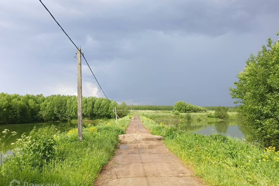 земля городской округ Раменский деревня Васильево фото 5