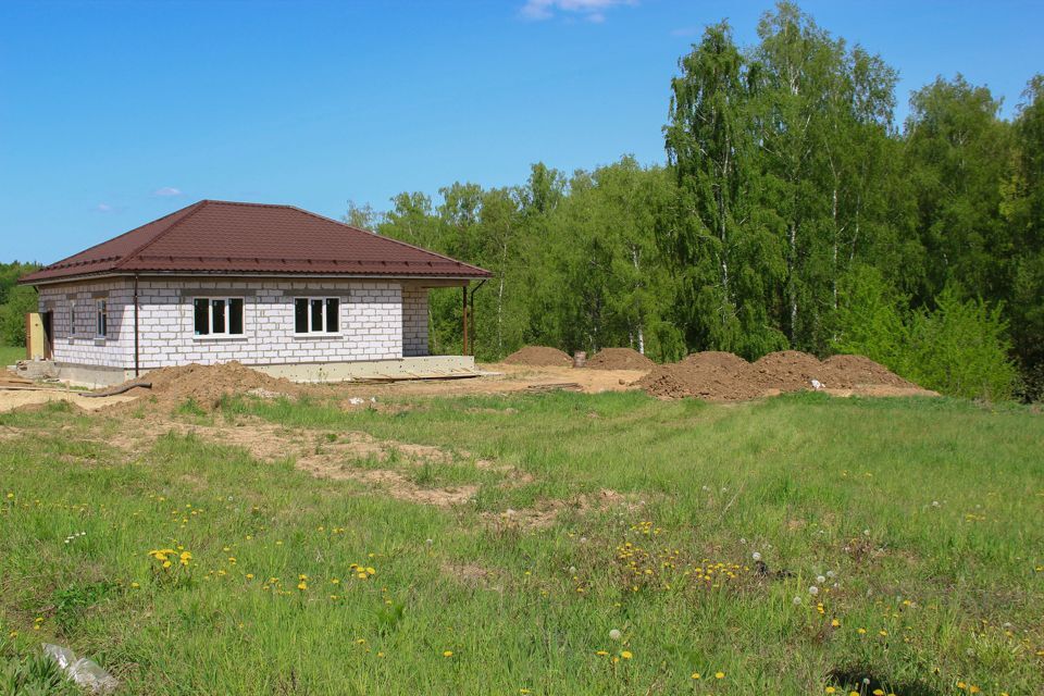 земля г Домодедово д Матчино Земляничная Поляна, Домодедово городской округ фото 5