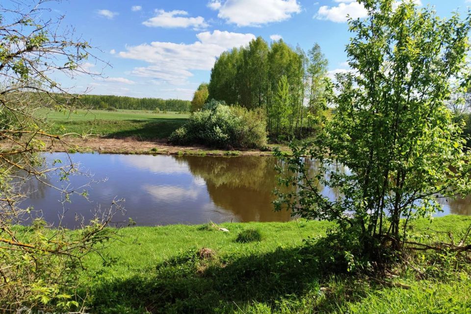 земля городской округ Богородский д Березовый Мостик 7 фото 9