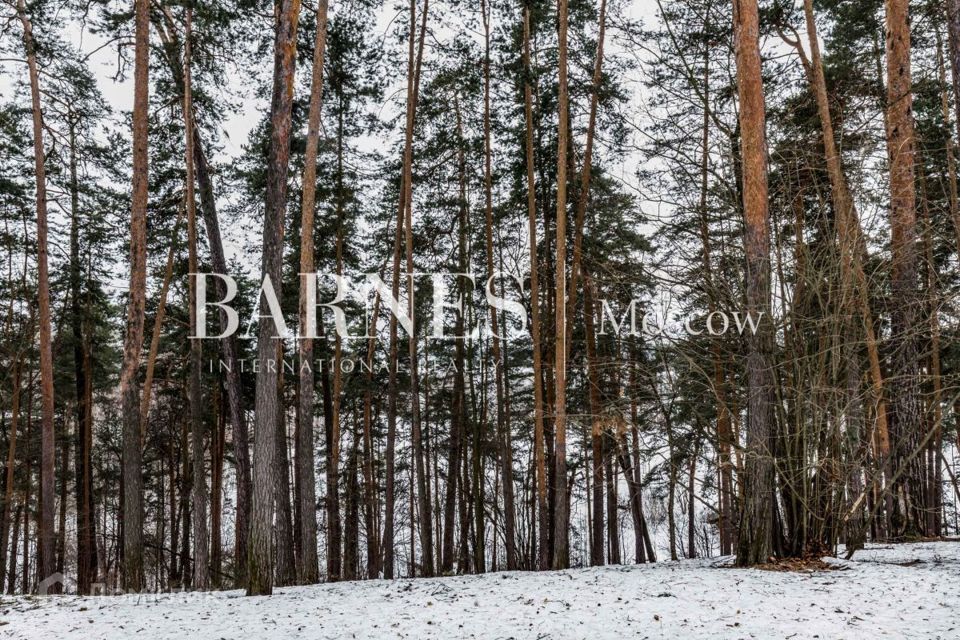 земля городской округ Красногорск п Архангельское Старомосковская улица, 9а фото 8