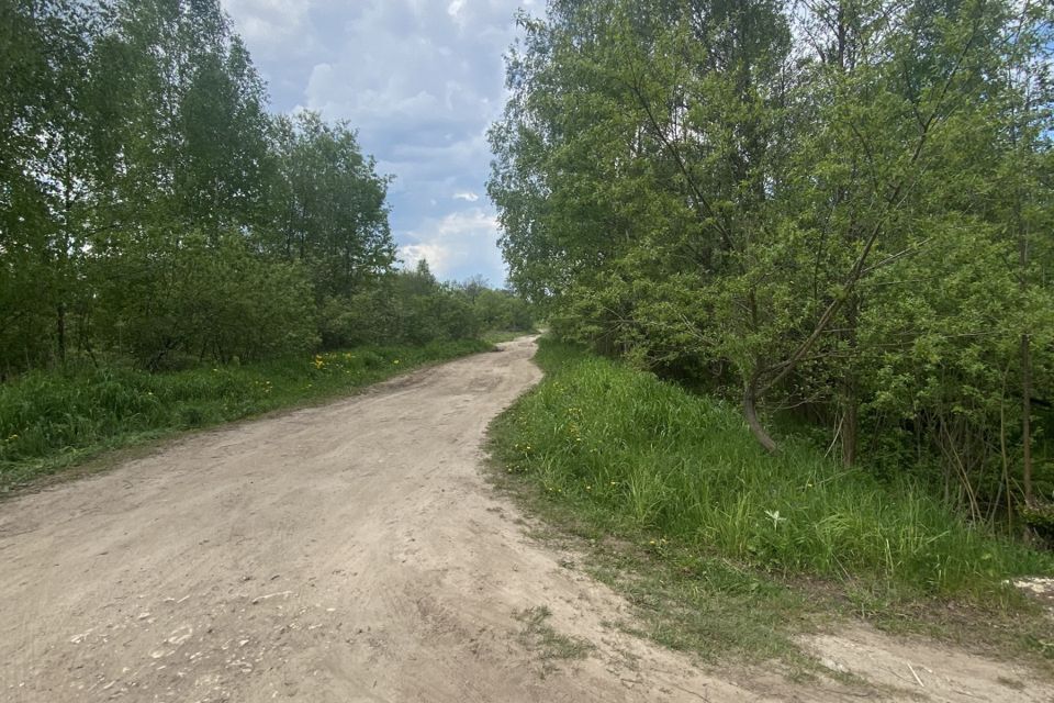 дом городской округ Егорьевск садовое товарищество Белая Берёза, 6 фото 9