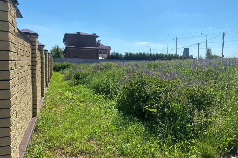 земля городской округ Чехов д. Большое Петровское фото 5