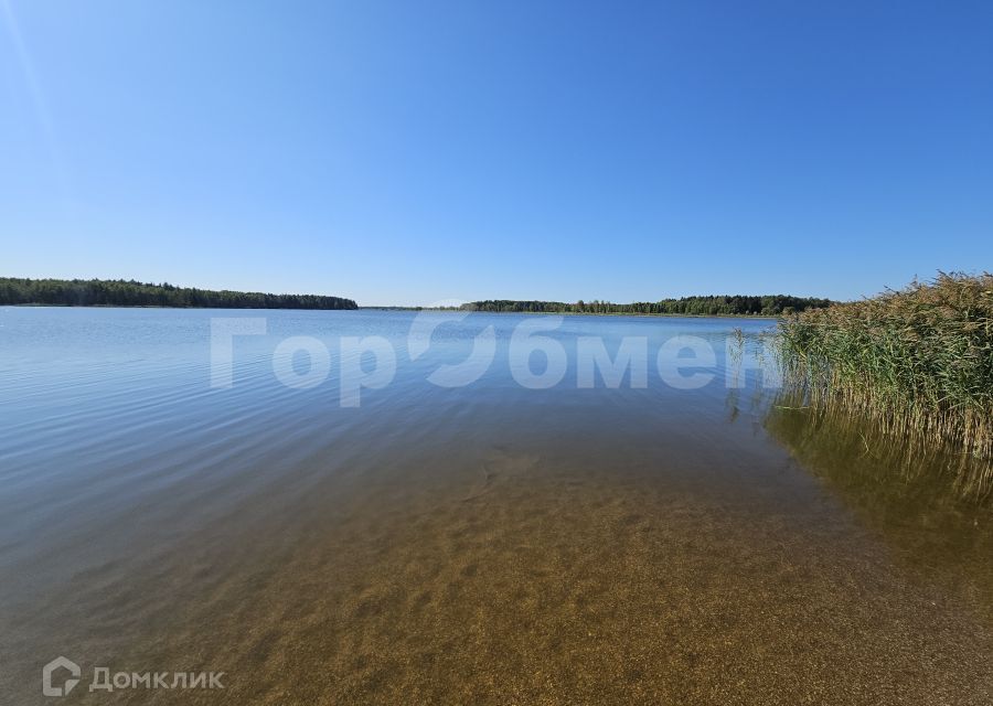 земля городской округ Шаховская деревня Сутоки фото 10