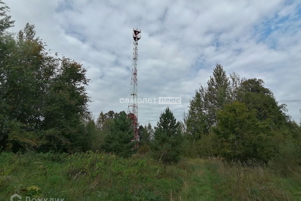 земля городской округ Богородский с. Новосергиево фото 6