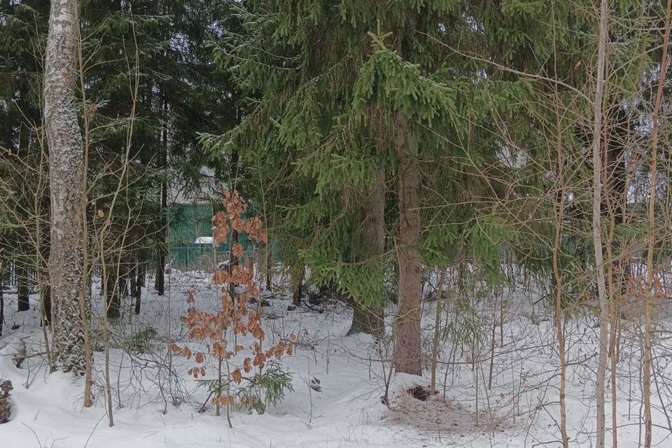 земля городской округ Одинцовский КИЗ Зелёная роща-1 фото 7