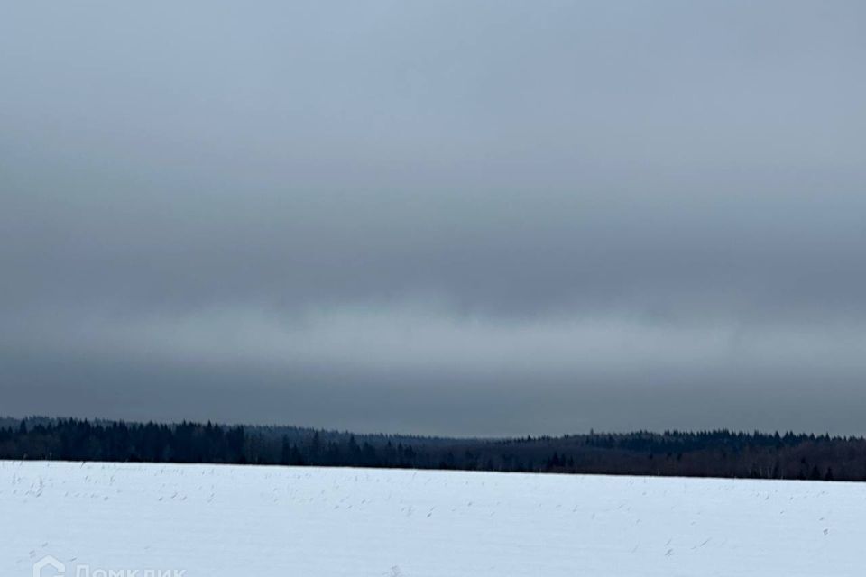 земля городской округ Сергиево-Посадский д. Алферьево фото 6