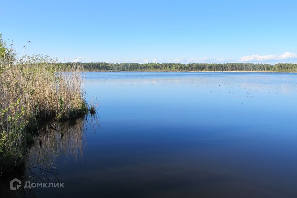 земля р-н Выборгский коттеджный поселок Ягодное 94 фото 10