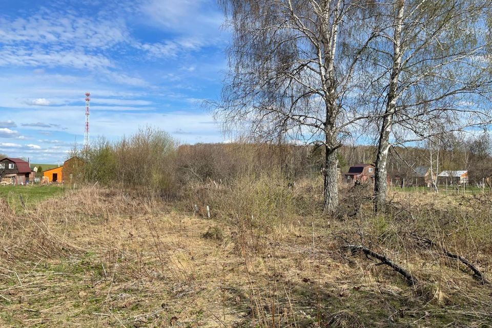 земля городской округ Зарайск д. Черемошня фото 5