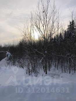 земля городской округ Дмитровский фото 5