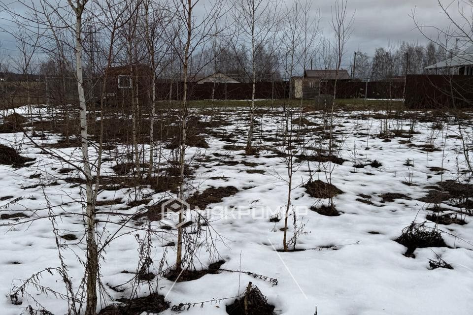 земля городской округ Можайский д. Денисьево фото 5