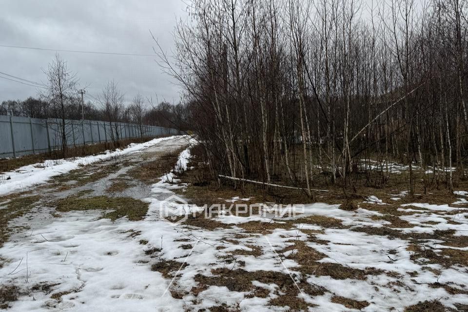 земля городской округ Можайский д. Денисьево фото 10