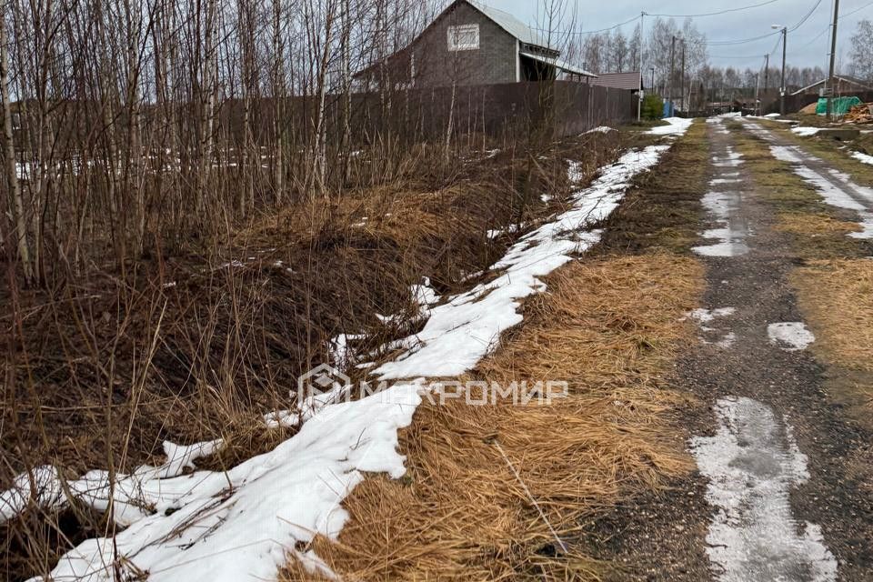 земля городской округ Можайский д. Денисьево фото 10