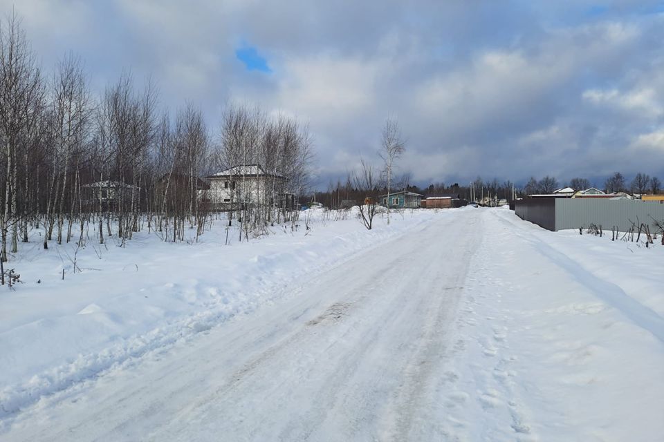 земля городской округ Пушкинский д Бортнево улица Суворова, 17, Бортнево-5 фото 5