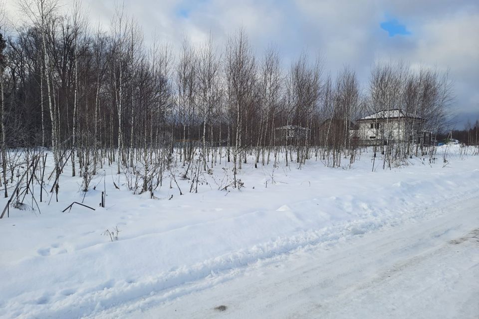 земля городской округ Пушкинский д Бортнево улица Суворова, 17, Бортнево-5 фото 6