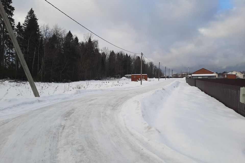 земля городской округ Пушкинский д Бортнево улица Суворова, 17, Бортнево-5 фото 7