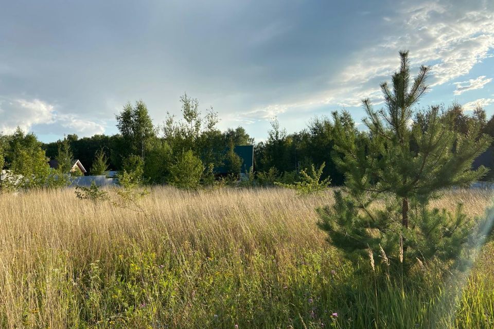 земля городской округ Луховицы село Городна фото 8