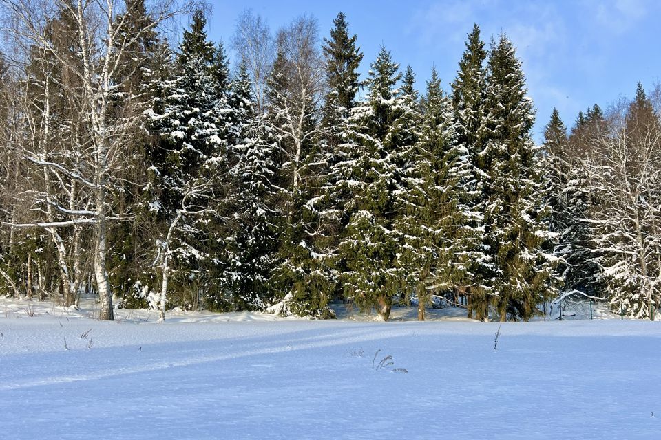 земля городской округ Дмитровский 5 Соток фото 5