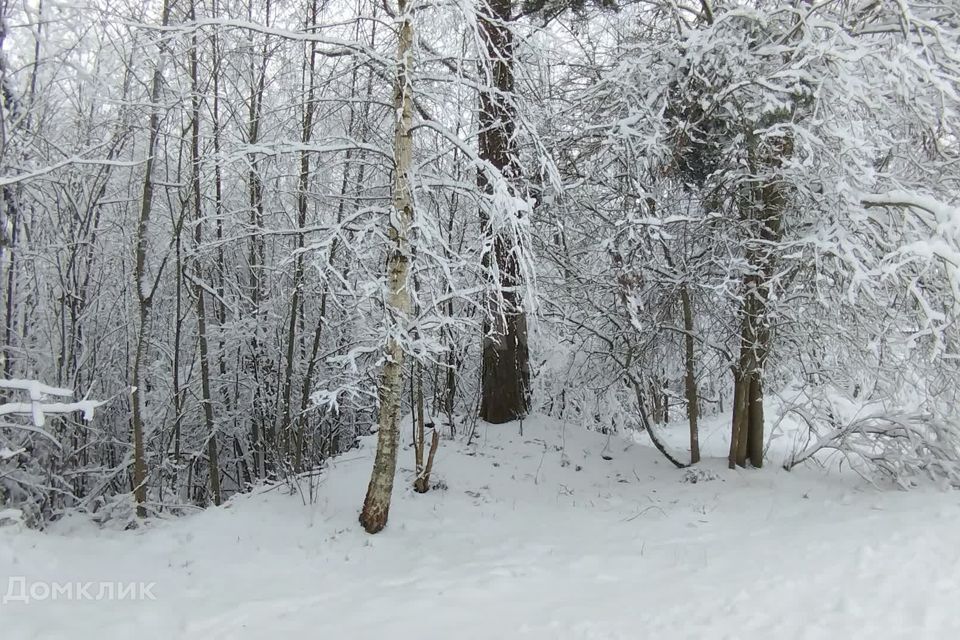 земля р-н Киришский п Пчевжа Песчаная улица фото 8