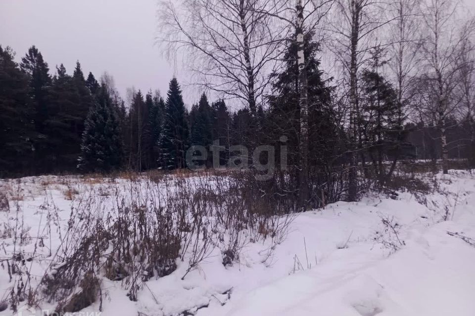 земля городской округ Раменский СНТ Гжельский лес фото 5