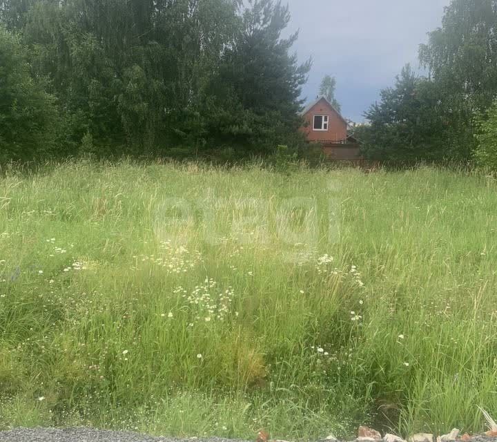 земля городской округ Одинцовский Речное поле фото 5