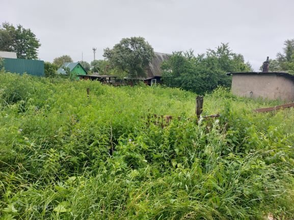 земля городской округ Подольск д. Гривно фото 6