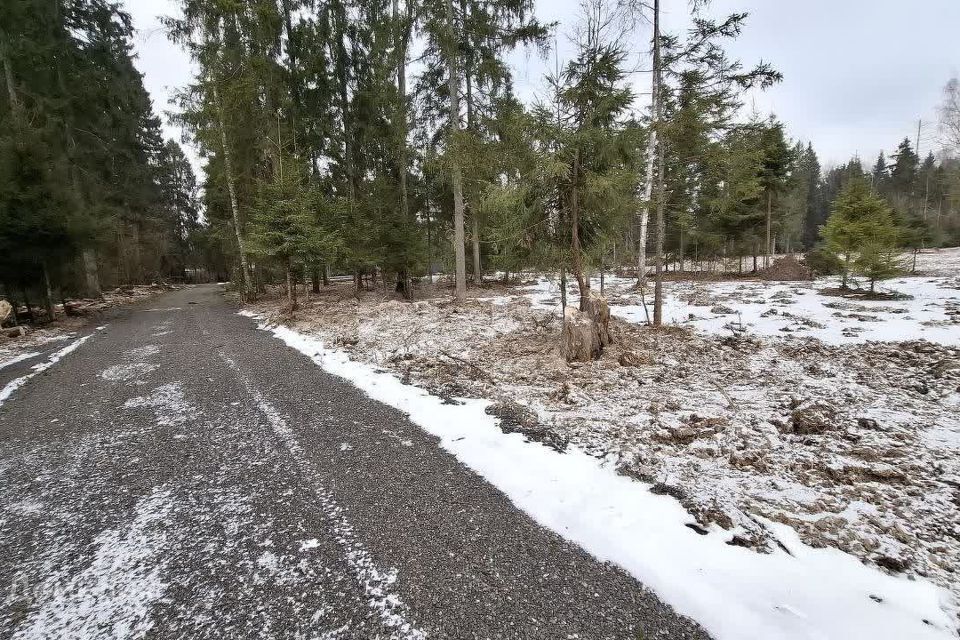 земля городской округ Наро-Фоминский фото 7