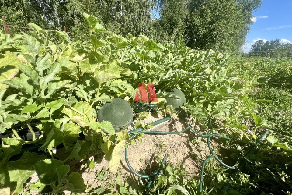 земля городской округ Пушкинский д Талицы 2 фото 8