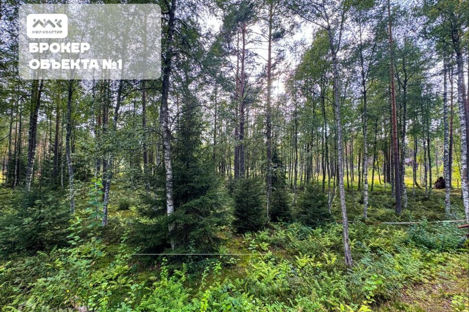 земля р-н Приозерский д Раздолье Солнечный орнамент фото 5