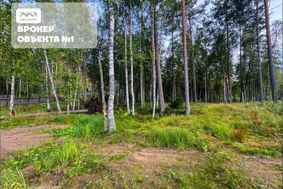 земля р-н Приозерский д Раздолье Солнечный орнамент фото 8