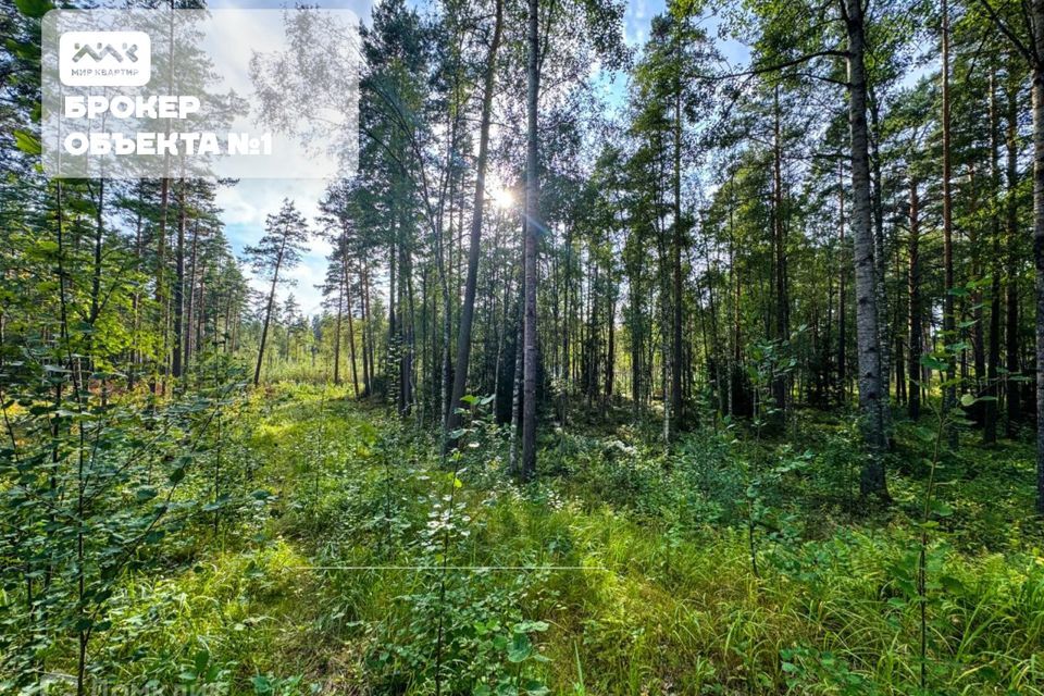 земля р-н Приозерский д Раздолье Солнечный орнамент фото 5