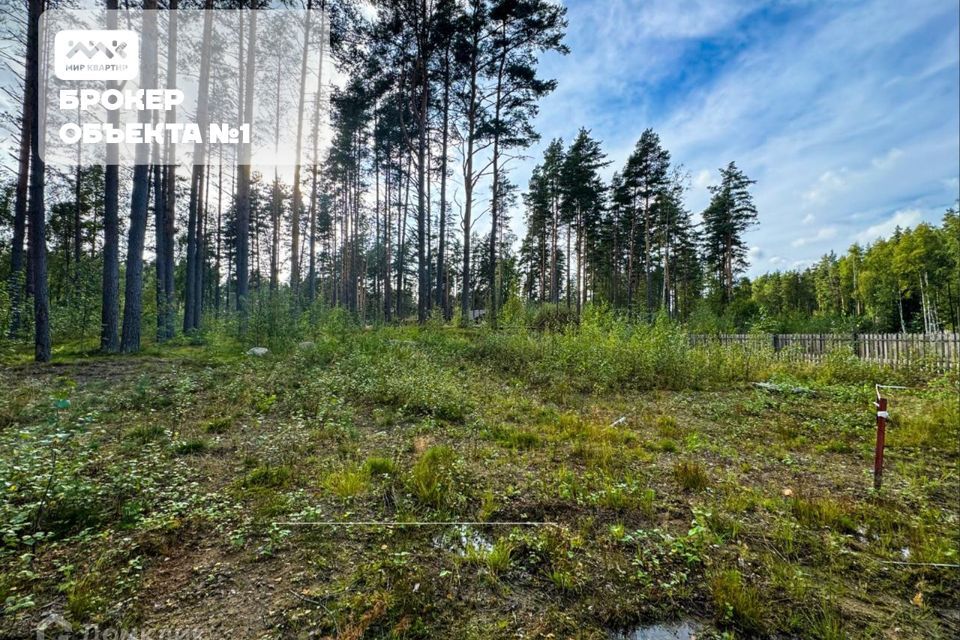 земля р-н Приозерский д Раздолье Солнечный орнамент фото 9