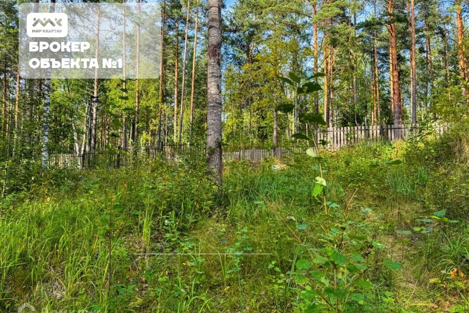 земля р-н Приозерский д Раздолье Солнечный орнамент фото 7