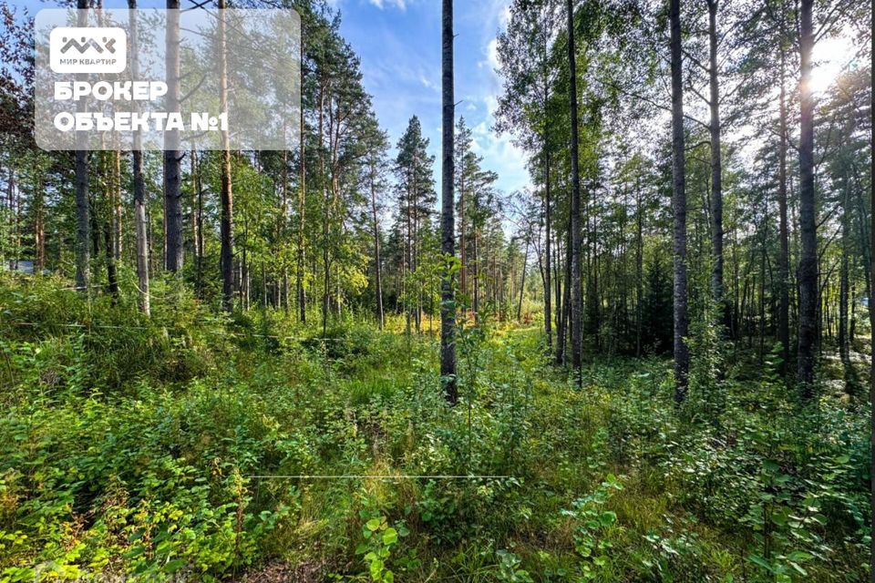 земля р-н Приозерский д Раздолье Солнечный орнамент фото 9