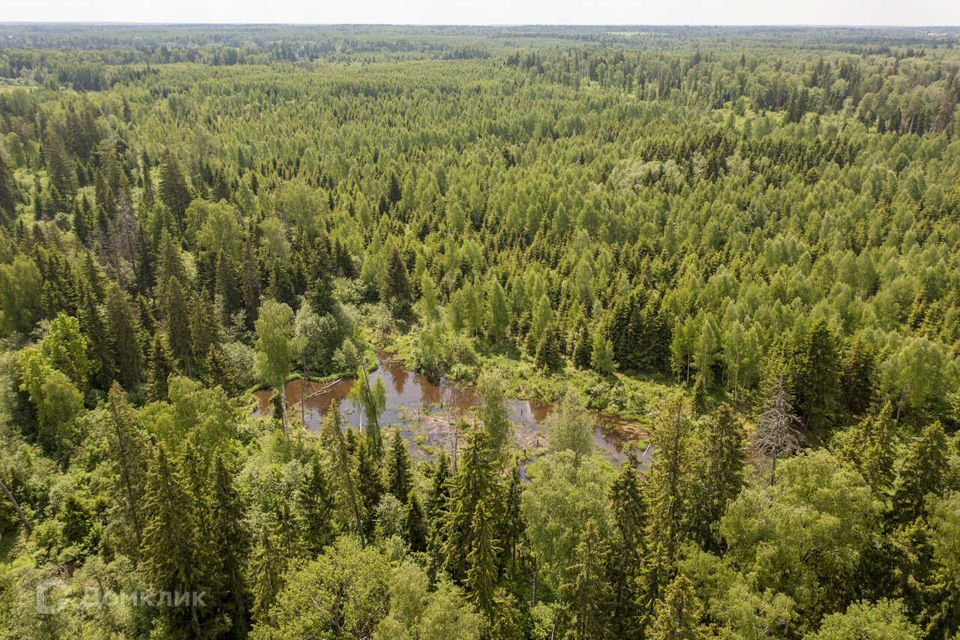 земля городской округ Истра Ушаковские Дачи-2 фото 6