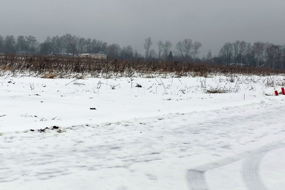 земля городской округ Пушкинский с. Братовщина фото 6