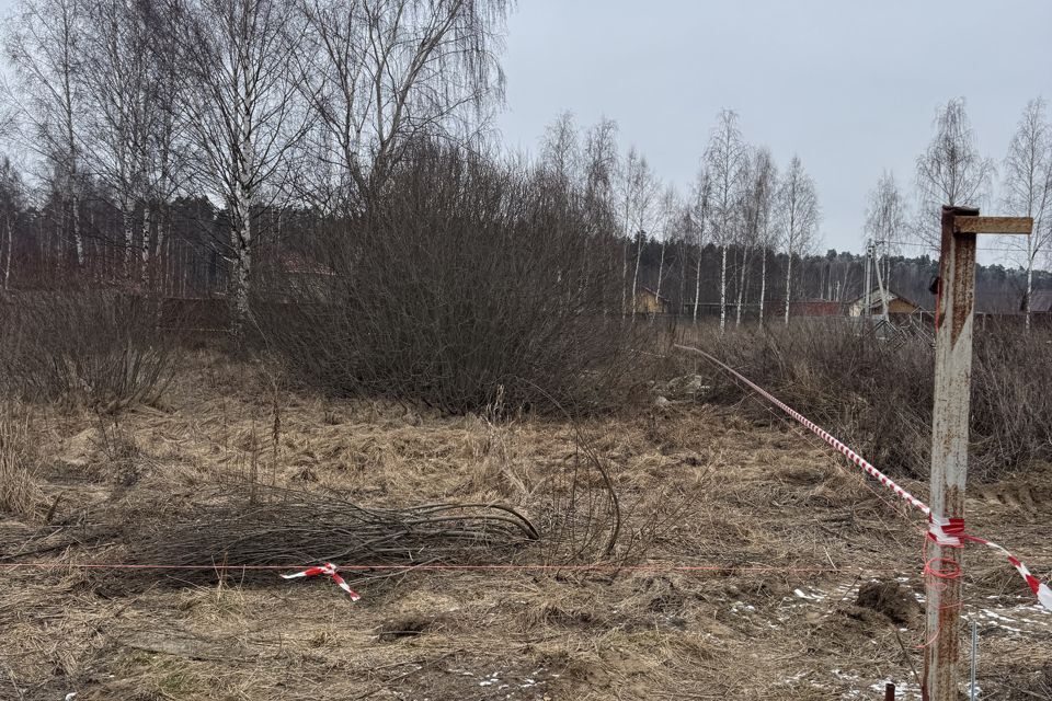 земля городской округ Можайский д Сады на реке, 400, Щёлково городской округ фото 6