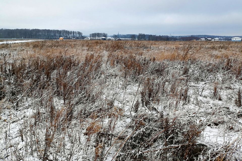 земля городской округ Домодедово с. Кузьминское фото 10