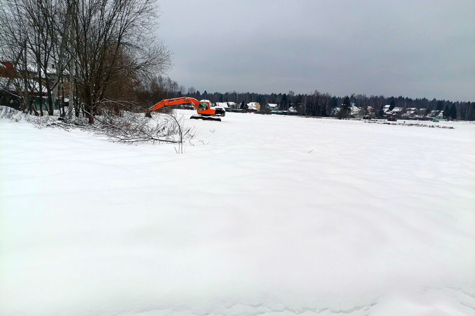 земля городской округ Пушкинский д. Василёво фото 7