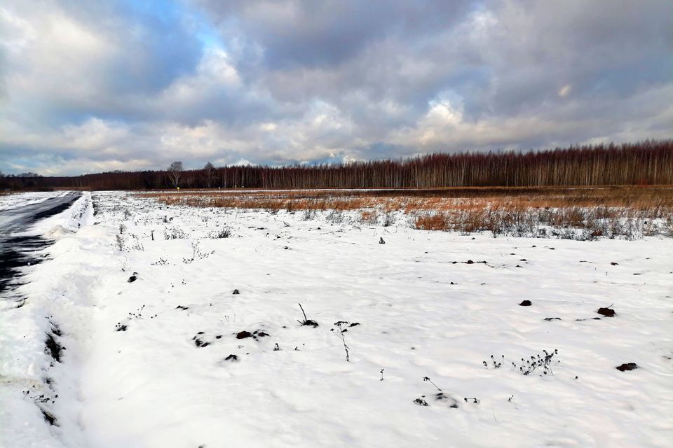 земля городской округ Раменский Строящееся здание фото 5