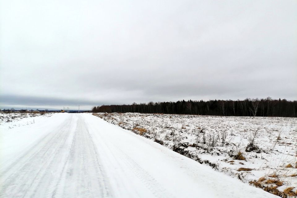 земля городской округ Истра СНТ Фрунзенец фото 8