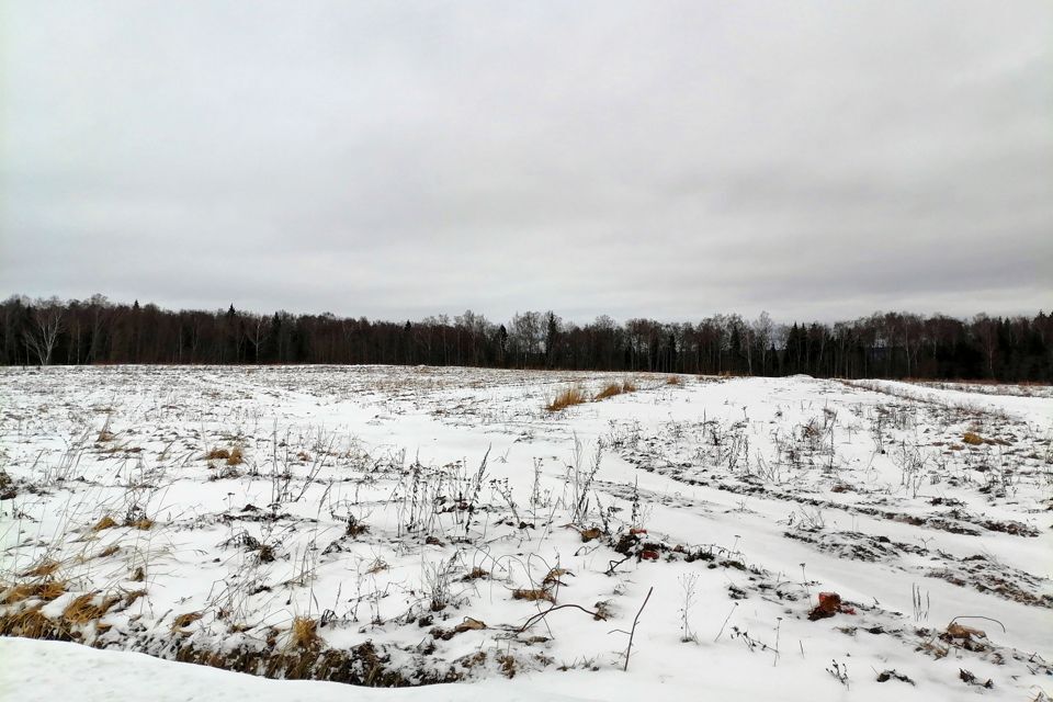 земля городской округ Истра СНТ Фрунзенец фото 9