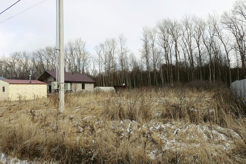 земля городской округ Раменский с Никитское Усадьба Никитское фото 5