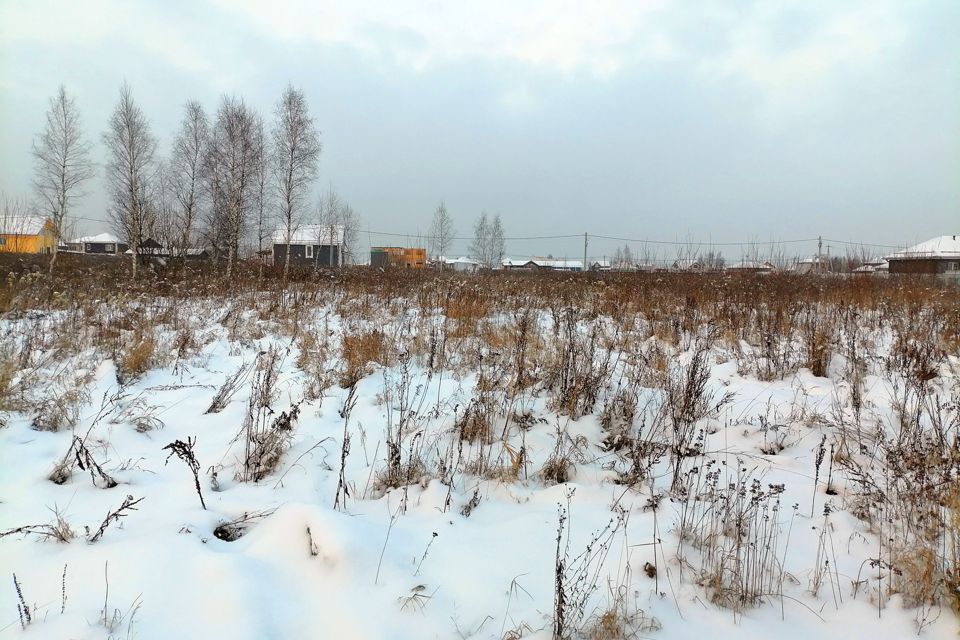 земля городской округ Раменский д. Прудки фото 6